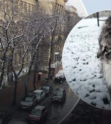 Якою буде погода у Львові та області завтра, 18 березня
