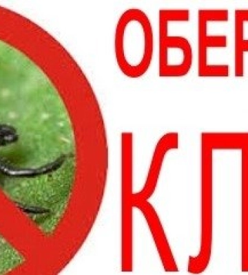 Кліщі на Дніпропетровщині: є перші інфіковані
