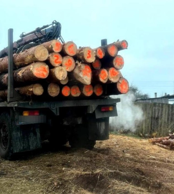 На Рівненщині поліція зафіксувала два злочини проти довкілля
