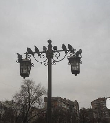 Дощ зі снігом та мінусова температура. Якою буде погода на Дніпропетровщині найближчими днями