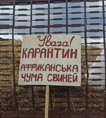 У місті на Волині вулицями розгулюють зграї собак