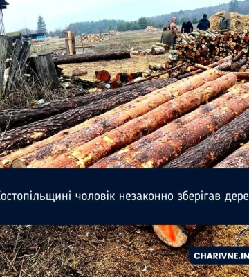 На Костопільщині чоловік незаконно зберігав деревину