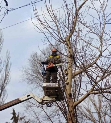 Для запобігання аваріям ДТЕК Дніпровські електромережі розчистить від гілок понад 3 тисячі кілометрів електроліній у 2024