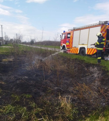 Минулої доби закарпатські вогнеборці знову вели бій з пожежами в екосистемах