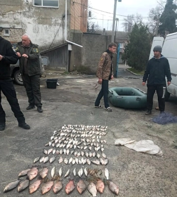 В Одеську область повернулися фламінго
