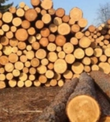 Яким був експорт та імпорт товарів Рівненщини у січні 2024 року