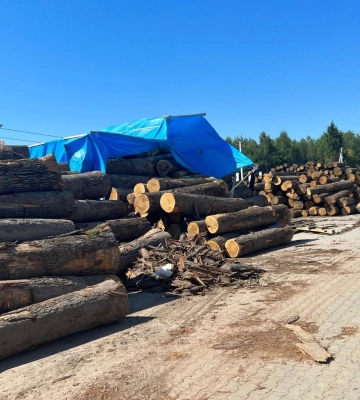 Директору Національного природного парку на Волині повідомлено про підозру у незаконній порубці дерев на території природно-заповідного фонду