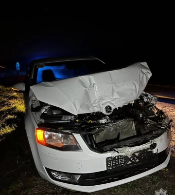 На Мукачівщині нетверезий водій розбив власне авто та пошкодив інший транспортний засіб