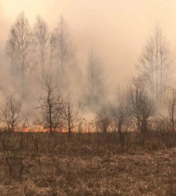 На Львівщині внаслідок падіння уламків ворожого дрону горять ліси