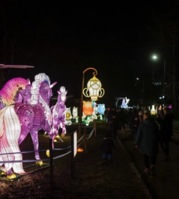 У Чернівцях вперше відбудеться фестиваль ліхтарів “Lights and Dreams”