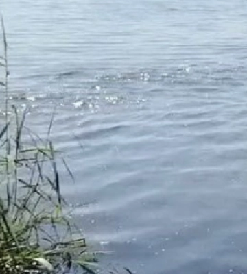 Суд повернув громаді Новояворівська водосховище