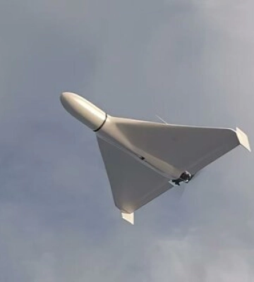 Уничтожены 31 из 34 &quot;Шахедов&quot;, - Воздушные силы