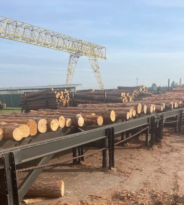 Майно лісгоспу на Волині виставили на аукціон за три мільйони. Фото