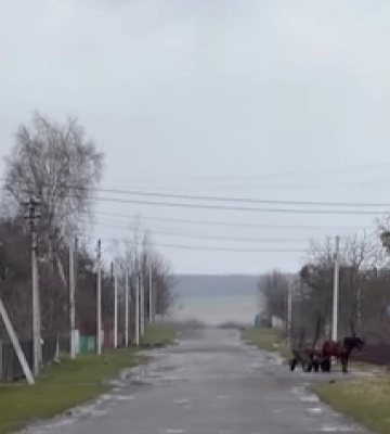 «Звикли робити і все тримати»: як живе волинське село на чотири вулиці