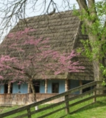 В Ужгороді відбудеться Міжнародний музейний форум