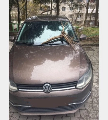 У Львові невідомі пошкодили авто новопризначеної директорки школи №96