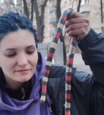 У Києві дівчина під капотом свого авто знайшла рідкісну змію
