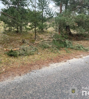 На Волині 20-річний мотоцикліст врізався у дерево