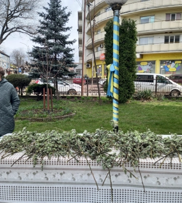 Греко-католики та римо-католики Перечина відзначили Вхід Господній до Єрусалиму та освятили вербу