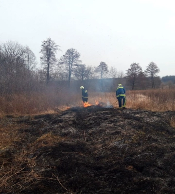 На Сумщині рятувальники ліквідовували загоряння сухої рослинності (відео)