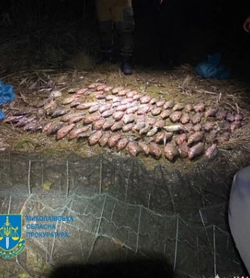 Два мешканці Миколаєва постануть перед судом за незаконний вилов риби на сумму 600 тис грн
