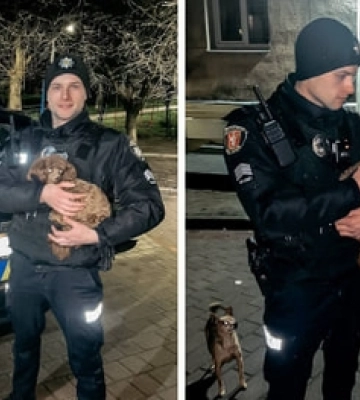 Луцькі патрульні повернули власникам загубленого собаку 