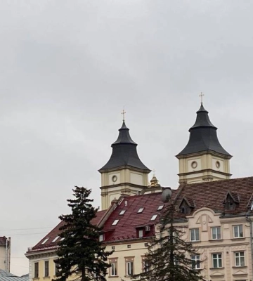 Без опадів, туман: погода в Івано-Франківську 26 березня
