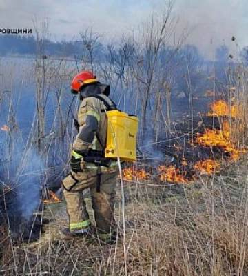 На Дніпропетровщини виникли 33 пожежі в екосистемах