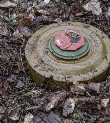 На Волині в лісі підірвалися троє людей. Усі загинули