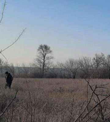 У лісі на Волині підірвалося троє людей, вони загинули