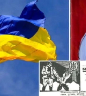 Виноградівський музей : історія Карпатської України на конвертах