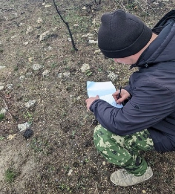 На Миколаївщині шукають нові ділянки для лісорозведення