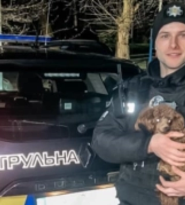 У Луцьку патрульні повернули господарям чотирилапого мандрівника