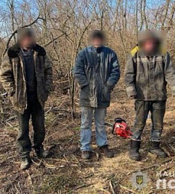 На 300 тисяч гривень на Дніпропетровщині нарубали дерев лісоруби-порушники