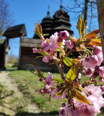 Ужгород, Київ чи Львів: куди поїхати навесні за незабутніми враженнями