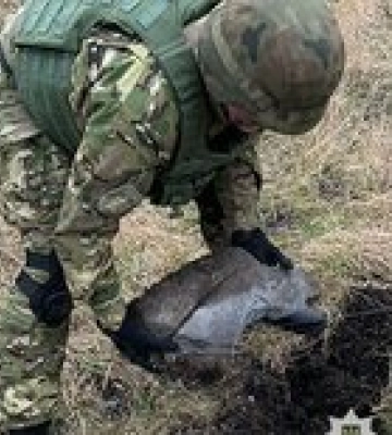 В Киеве обнаружен обломок ракеты со взрывчаткой более 20 кг, которой вчера била РФ – фото