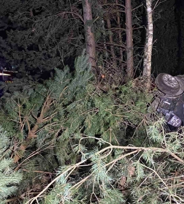 Авто перекинулося та застрягло між деревами: на Волині рятувальники «вирізали» водія з машини