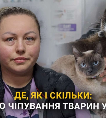 Де у Дніпрі чіпувати тварин та скільки це коштує