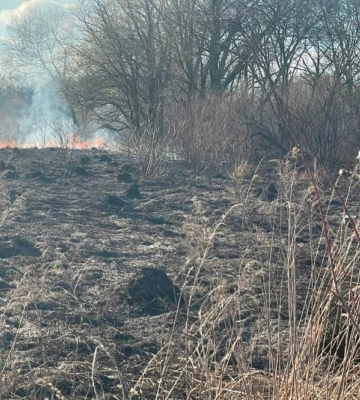 За минулу добу рятувальники Рівненщини ліквідували 4 пожежі в природних екосистемах