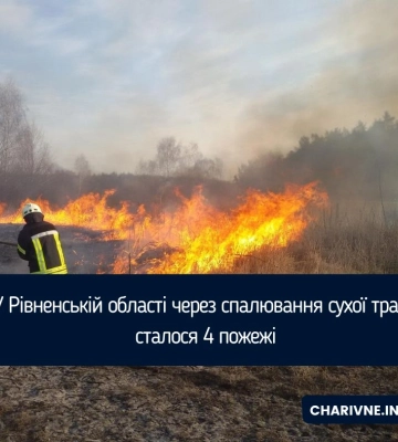 У Рівненській області через спалювання сухої трави сталося 4 пожежі