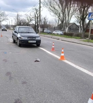 На Богоявленському проспекті водій збив жінку на переході