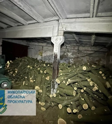 Незаконна порубка лісу на понад 1 млн грн – викрито організовану групу