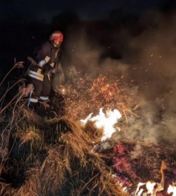 Минулої доби рятувальники Львівщини ліквідували 7 пожеж сухостою