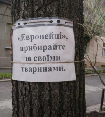 Чернівчан закликають прибирати за своїми чотирилапими на вулицях міста