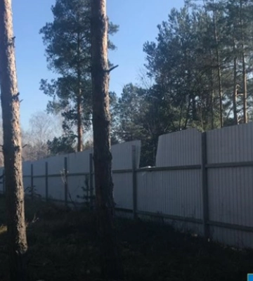 В Киевской области разоблачили схему завладения 2,24 га лесных угодий