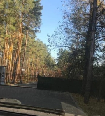 НАБУ та САП викрили схему заволодіння 2,2 гектарами лісу на березі Київського моря