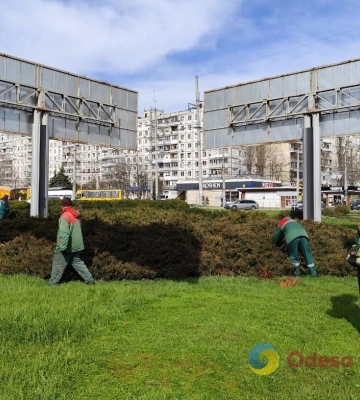 Одесу незабаром прикрасять 200 тисяч весняних квітів, – мерія