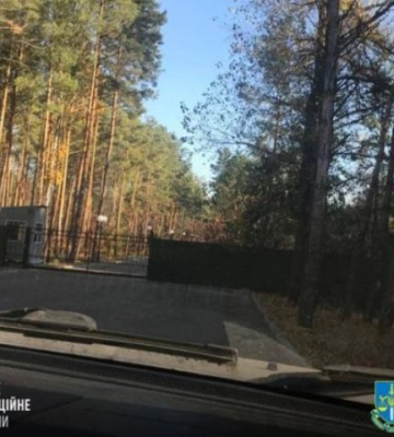 Чиновник незаконно передал часть лесных угодий на Киевщине под видом земель сельхозназначения