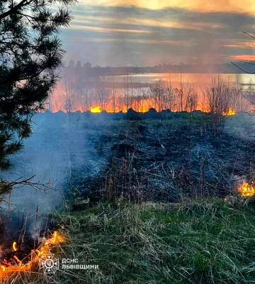 На Львівщині через пожежі живцем згоріли звірі і птахи (ФОТО)