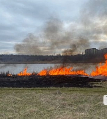 На Криворіжжі ліквідували пожежі в екосистемі